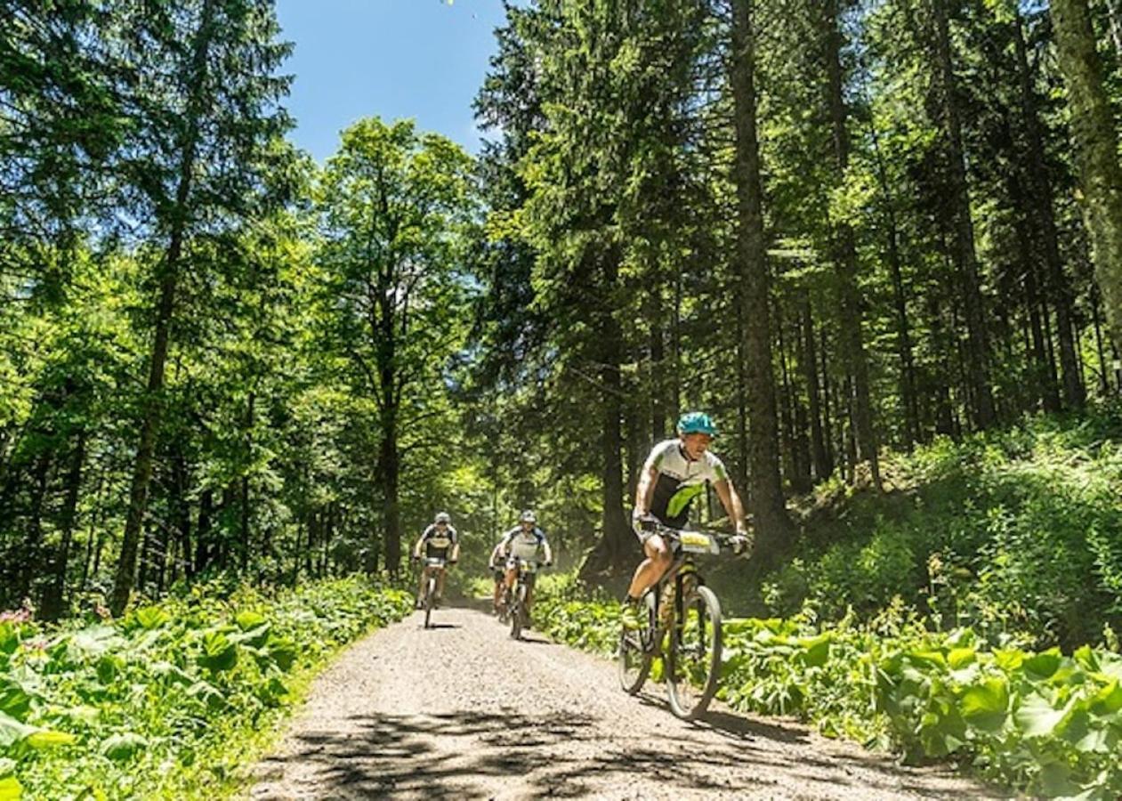 A La Chapelle Titisee Zewnętrze zdjęcie