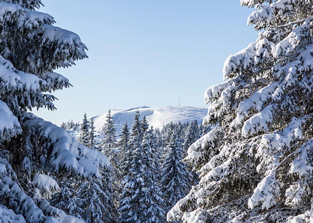 A La Chapelle Titisee Zewnętrze zdjęcie